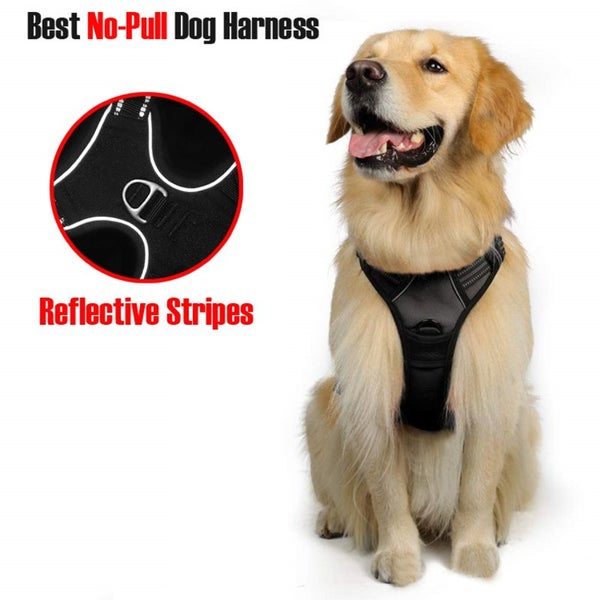 Pet Large Dog Harness L