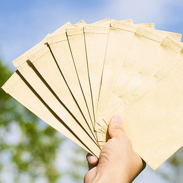100pcs Kraft Paper Seed Protective Envelopes Mini Storage Bags