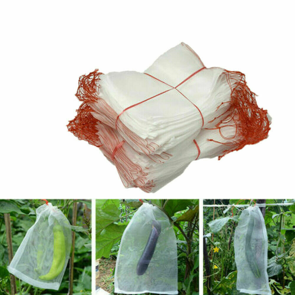 100PCS 35x25cm Agriculture Garden Fruit Vegetable Protection Net Bags